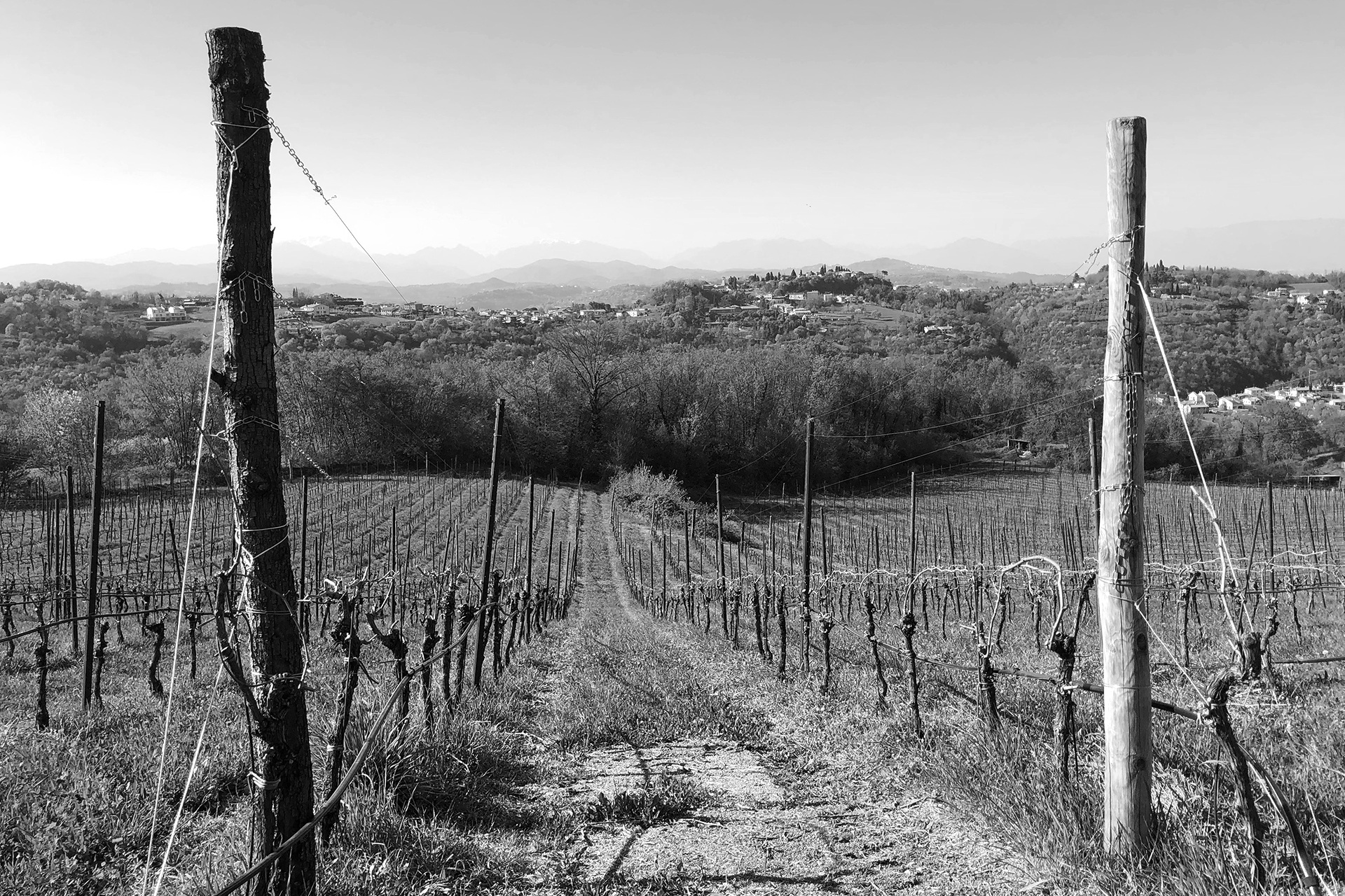 The Estate — panorama